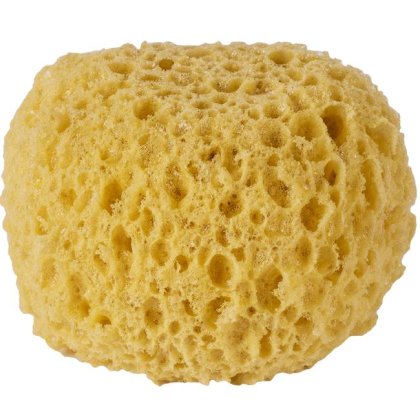 Burete de Baie
