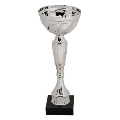 Trofeu Argintiu cu Suport de Marmura 23cm