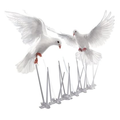 Banda Anti Pasari de Plastic Transparenta 25cm