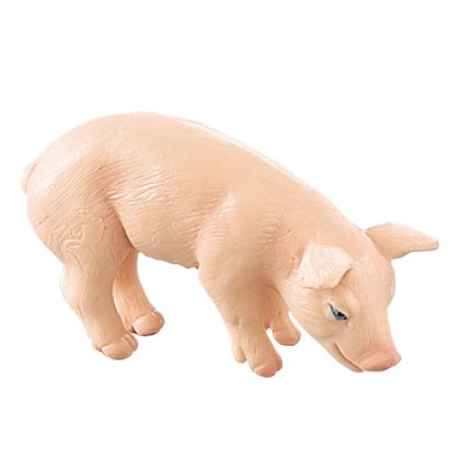 Pui Animale de Ferma