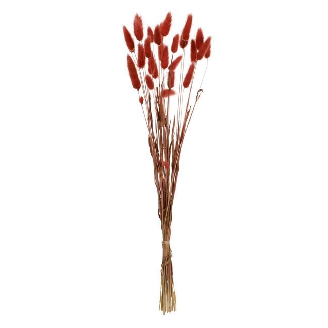 Ramuri Decorative de Coada Iepurelui Bunny Tails Maro 60cm