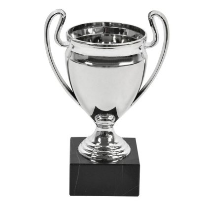 Trofeu Argintiu cu Baza de Marmura 16cm