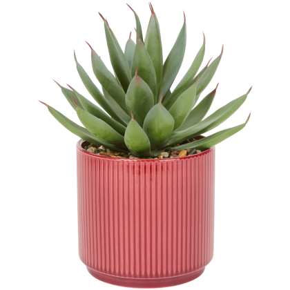 Plantă suculentă artificială în ghiveci decorativ
