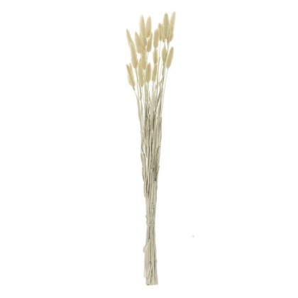 Ramuri Decorative Coada Iepurelui Bunny Tails Bej 60cm