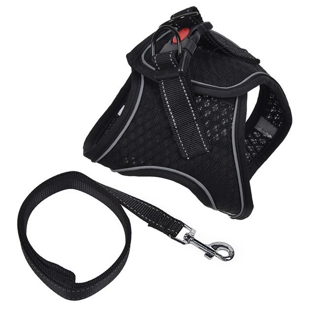 Ham Negru cu Lesa pentru Caini (M) 120x2.0cm