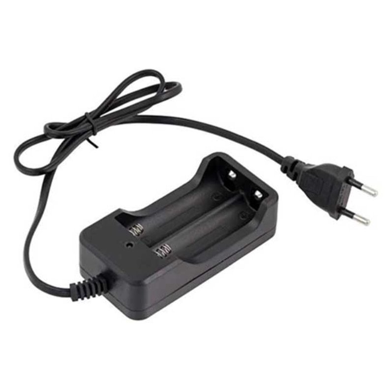 Incarcator pentru 2 acumulatori litiu 18650, VICTINY®, negru, 5x10x3cm