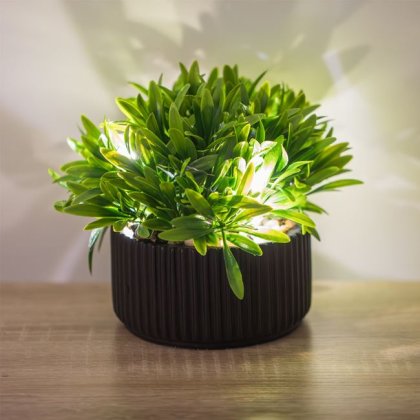 Ghiveci Decroativ cu Planta Verde & Luminite LED cu Baterii Ø16x15cm