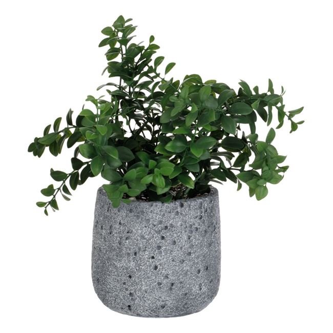 Ghiveci Decorativ din Ciment Gri cu Planta Artificiala Verde Ø13x30cm