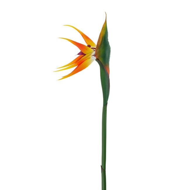 Ramura Artificiala ”Pasarea Paradisului” 90cm