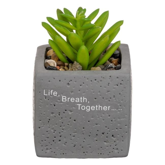 Ghiveci Decorativ din Ciment cu Planta Artificiala & Pietricele Mesaj "Life Breath Together" 6x6x9cm
