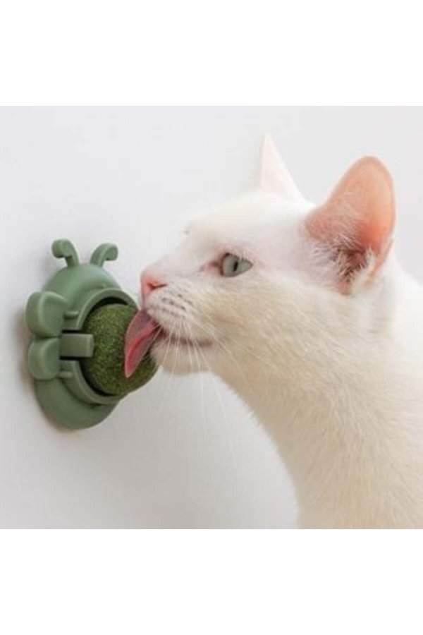 Jucărie de perete model fluture verde cu catnip pentru pisici