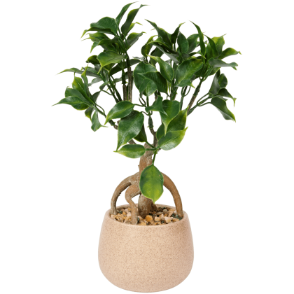Ficus artificial Excellent Flowers