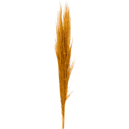 Buchet de flori uscate
