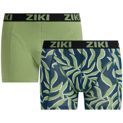 Boxeri Ziki