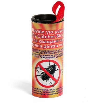 Capcane pentru Muste - 4buc